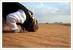 Sujud